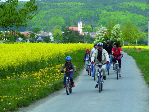 Radfahrgruppe bei Steißlingen