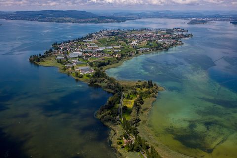 Insel Reichenau Luftbild