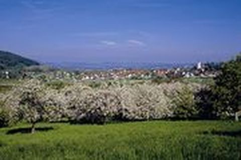 Blick auf Steißlingen