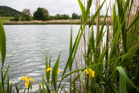 Den Sommer genießen am Steißlinger See