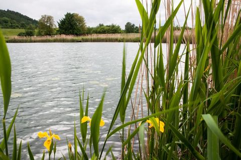 Den Sommer genießen am Steißlinger See